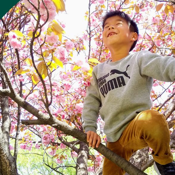 木に登って空を見上げる子ども